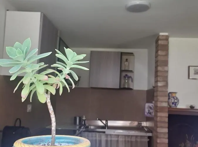 Tavernetta La Lavanda Annessa A アパート アッシジ